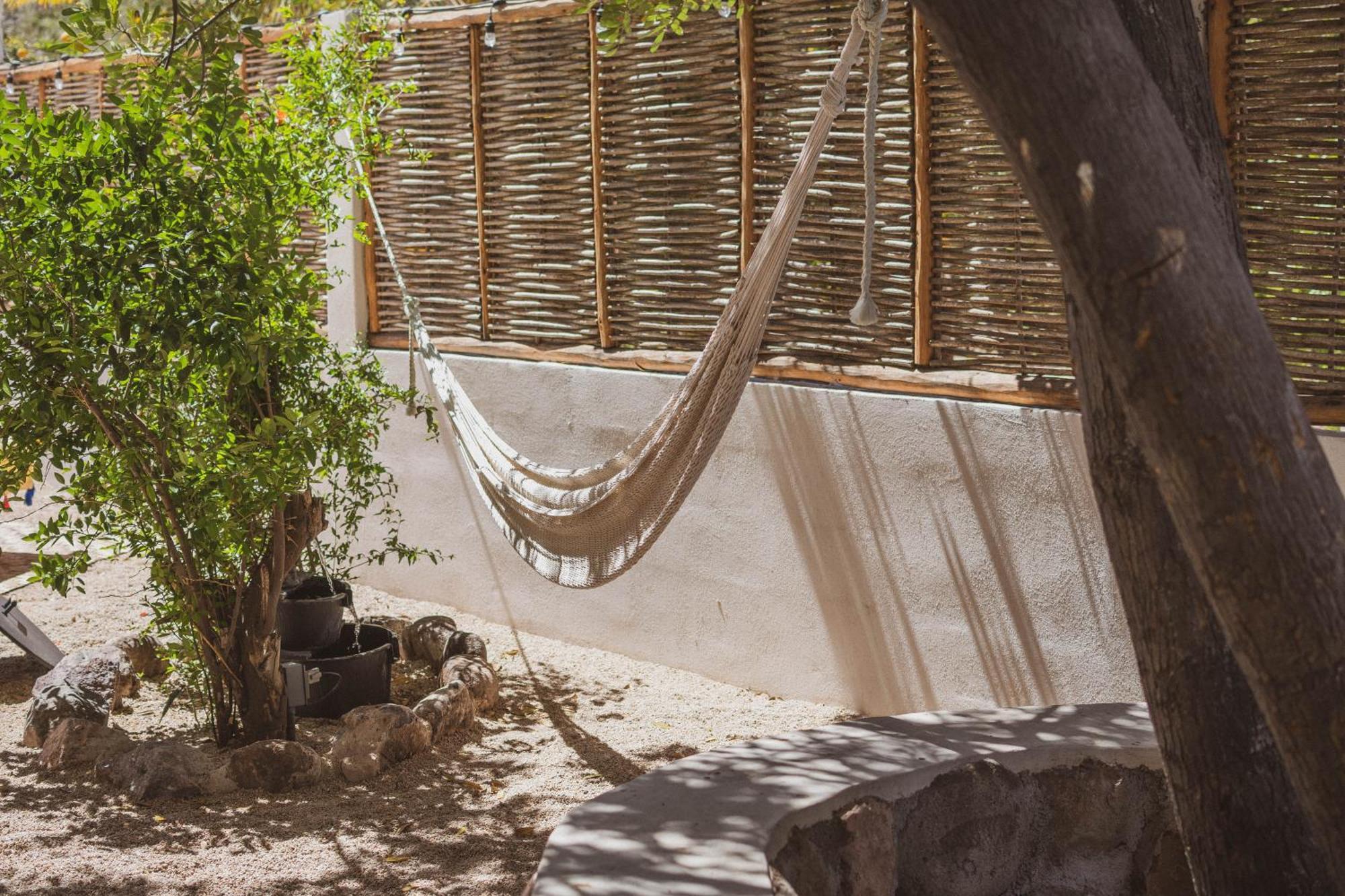 The Mantarraya Outpost Bed and Breakfast La Paz Eksteriør billede